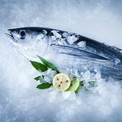 Chilled fish with basil leaves and sliced lemons.